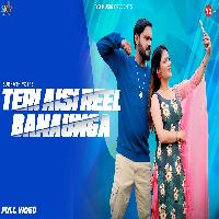 Teri Aisi Reel Banaunga Sumit Kajla ft Divya Jangid New Haryanvi Song 2023 By Subhash Foji,Nonu Rana Poster